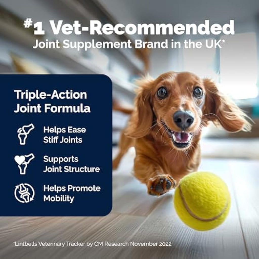 YuMOVE Joint Supplement for Adult Dogs - Hip and Joint Care, 120 Tablets