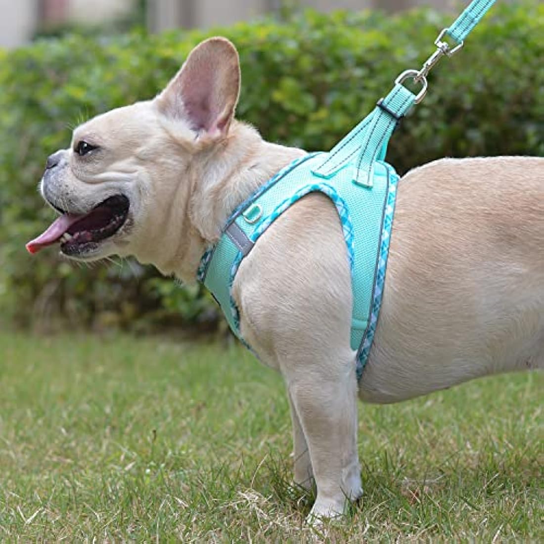 DORAMIO Step-in Dog Harness and Leash Set | Reflective Mesh Vest – XL