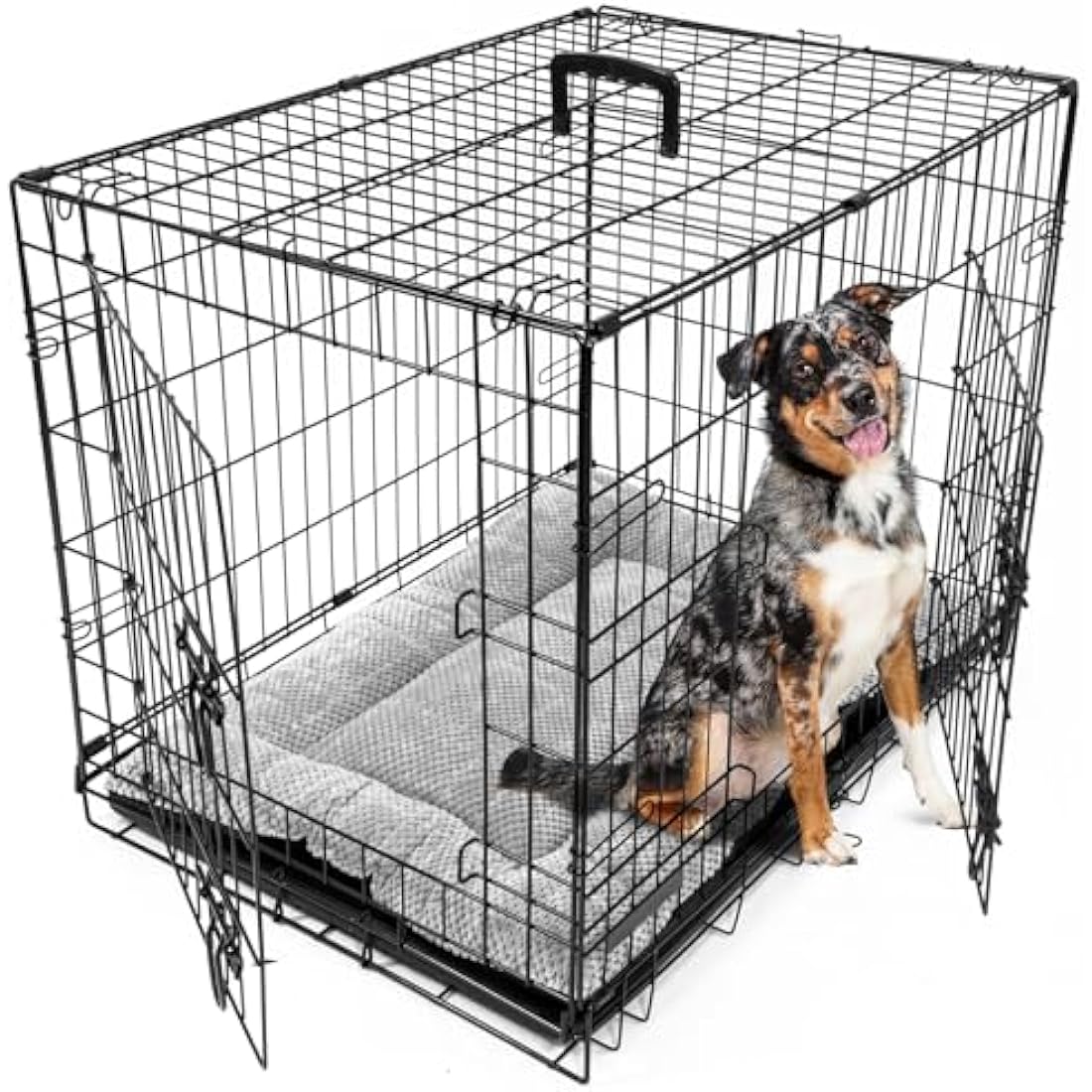 30-Inch Medium Foldable Dog Crate | 2-Door Metal Kennel