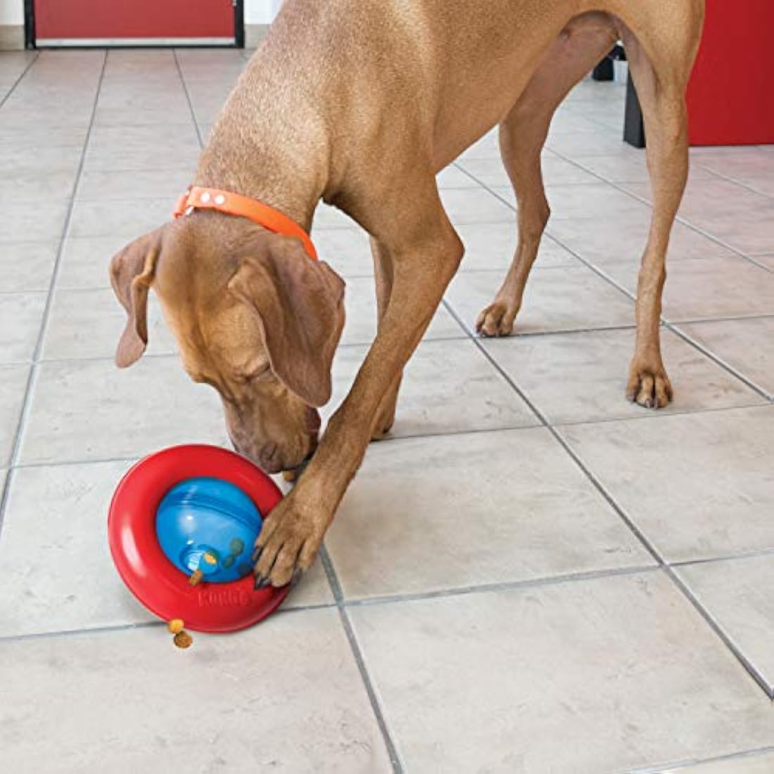 KONG Gyro Interactive Dog Toy – Treat Dispensing Slow Feeder for Large Dogs