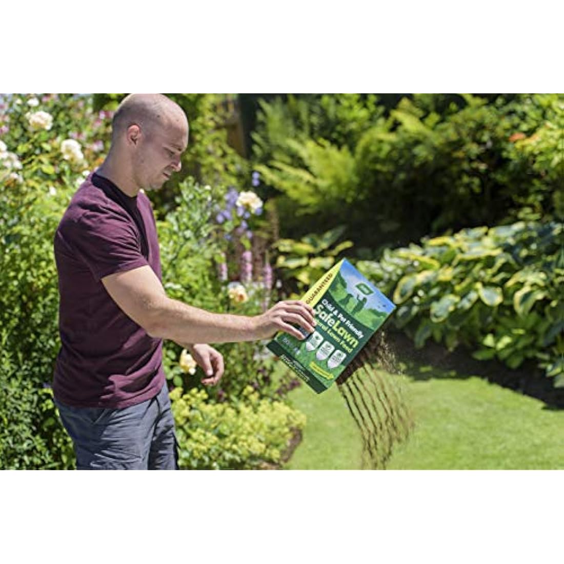 Westland SafeLawn Natural Lawn Feed & Seed - Child & Pet Safe, 2.8kg