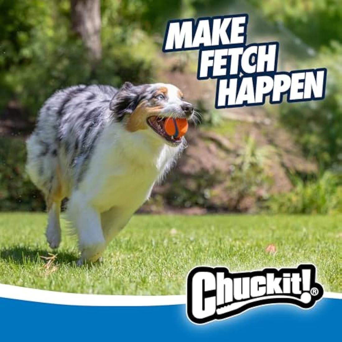 ChuckIt! Ultra Ball Durable Rubber Dog Toy - High Bounce & Floating, 2 Pack