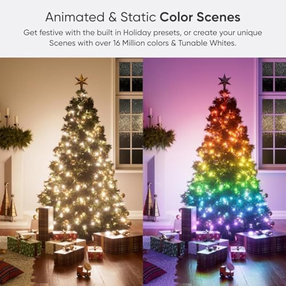 Nanoleaf Matter Essentials 20M RGB LED Smart String Lights | 250 LEDs