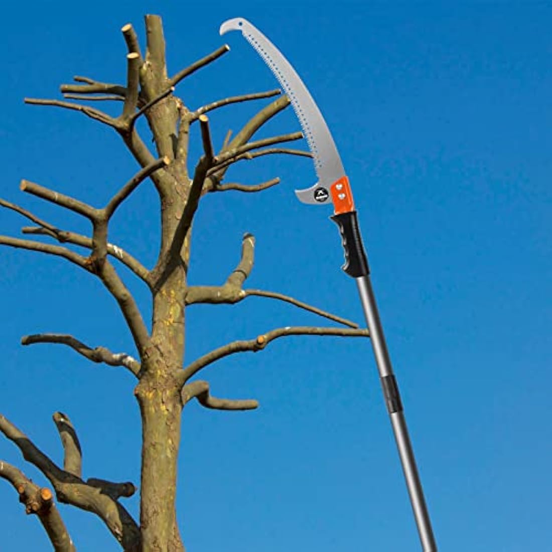 Walensee Pole Saw for Tree Trimming | 426cm Stainless Steel Manual Pruner