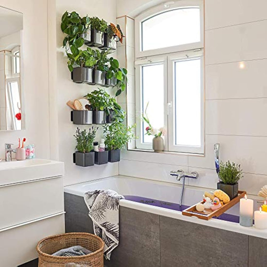 LECHUZA Self-Watering Indoor Green Wall Kit | Glossy White Herb Planter