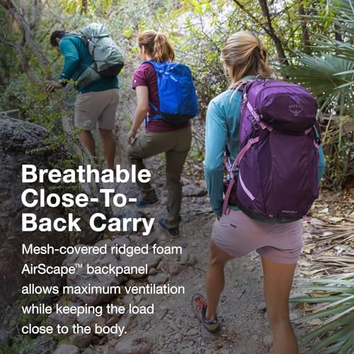 Osprey Sportlite 25 - Lightweight Unisex Hiking and Daypack Backpack