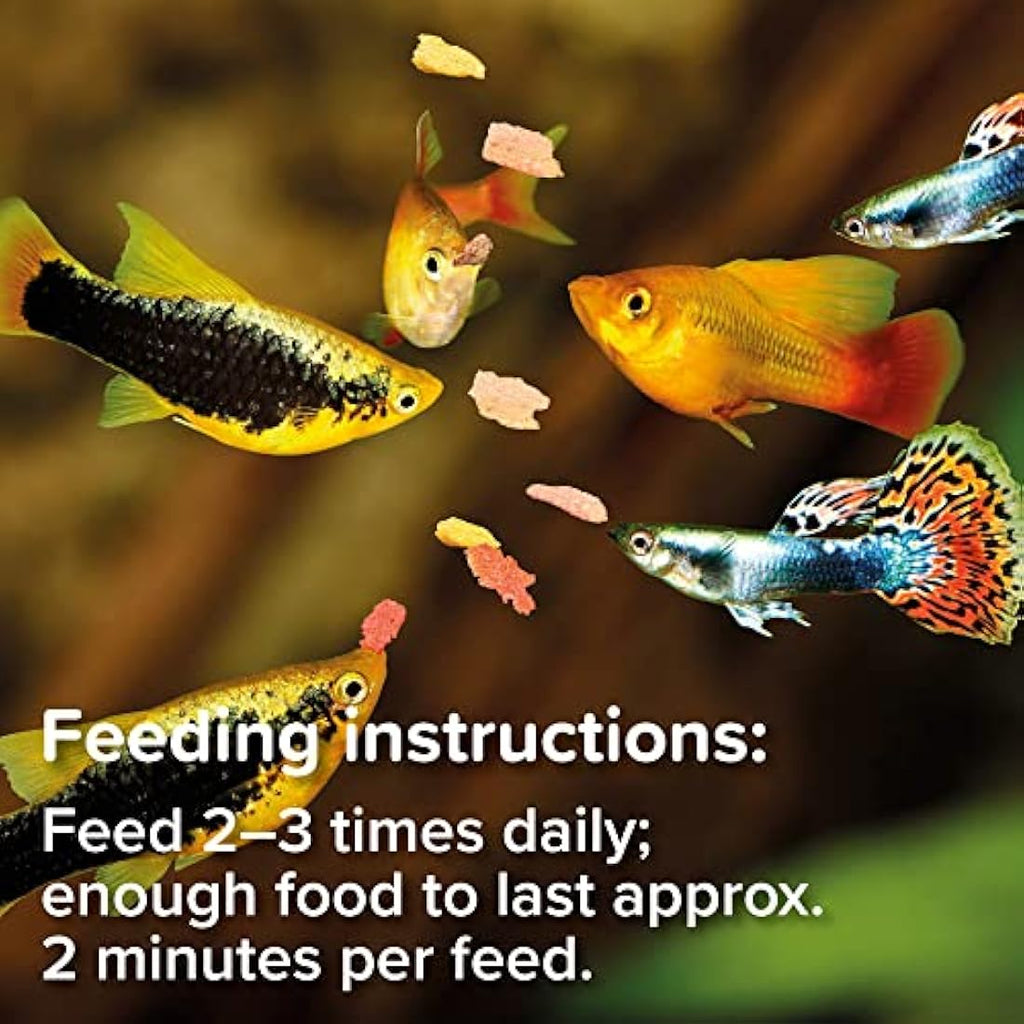 King British Tropical Fish Flake Food with Immuno Health Booster – 28g