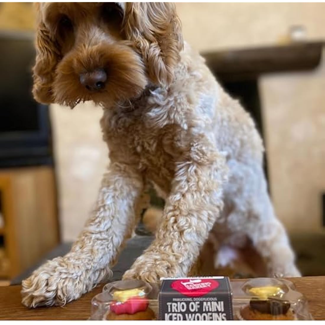 The Barking Bakery Trio of Mini Iced Woofins – Gourmet Dog Cupcakes