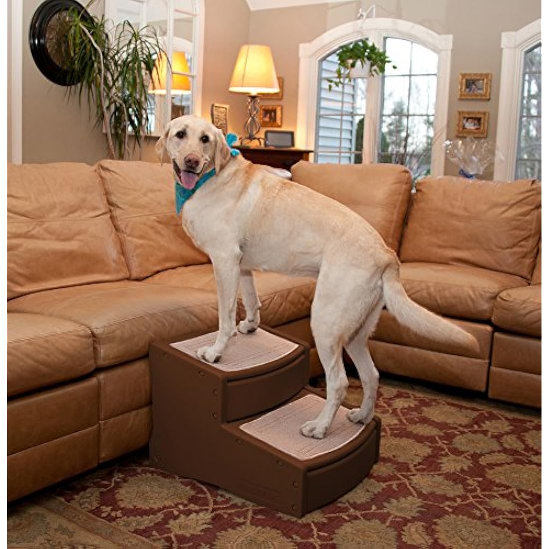 Pet Gear Easy Steps II Extra Wide Dog Stairs | Chocolate Brown | 2-Step