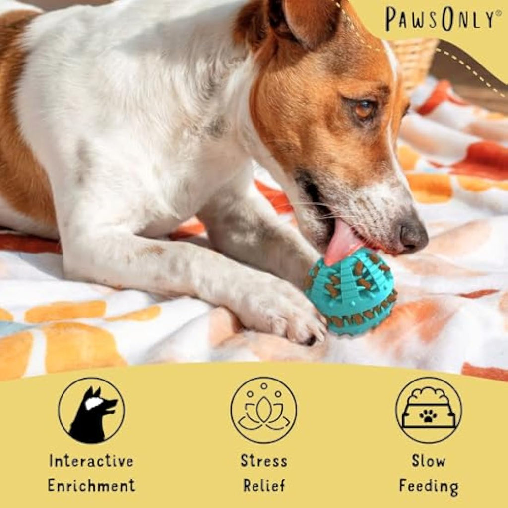 PawsOnly Interactive Dog Treat Dispenser Ball – Dental Care Puzzle Toy, Blue