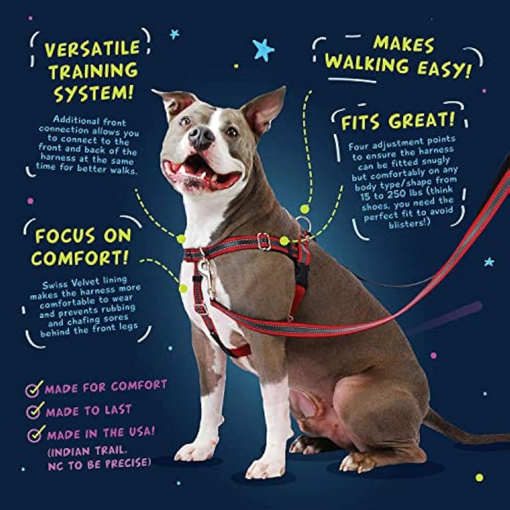 2 Hounds Design Freedom No-Pull Dog Harness & Leash | Teal, Medium