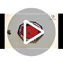 Fire Dragon Octagon Dice Tray with Lid – Red Vegan Leather