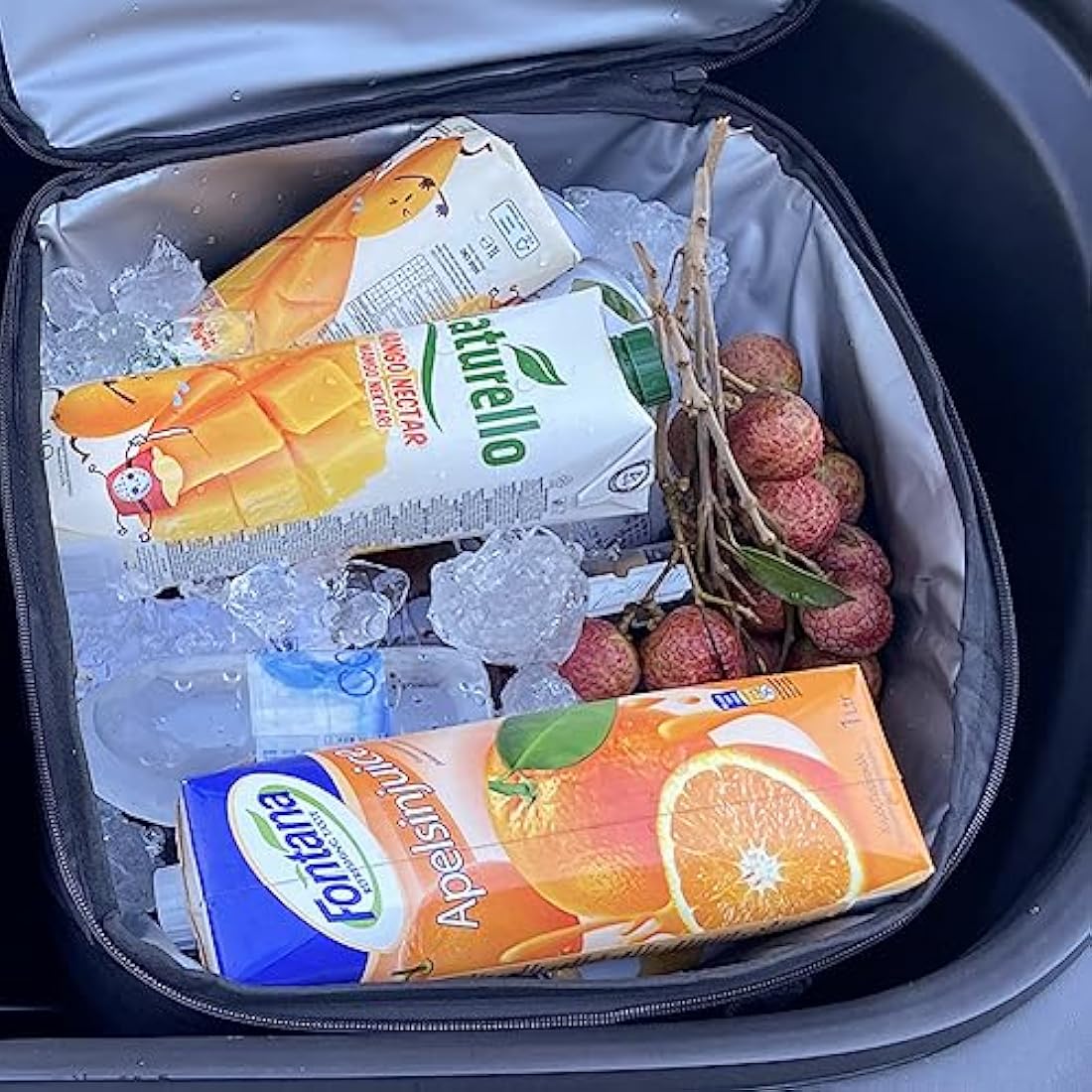 Tesbeauty Insulated Leakproof Cooler Bags for Tesla Model Y/X Frunk
