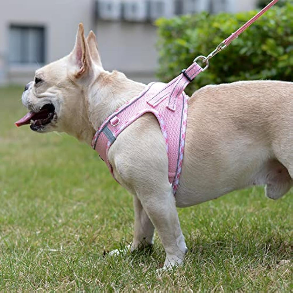 DORAMIO Step-in Dog Harness and Leash Set | Reflective Mesh Vest – Pink