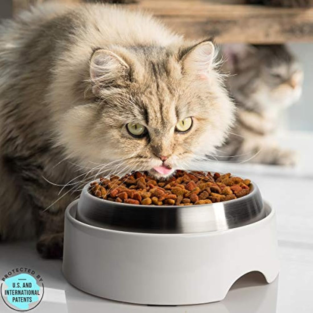CatGuru Elevated Cat Feeder – Non-Slip Raised Pet Feeding Station