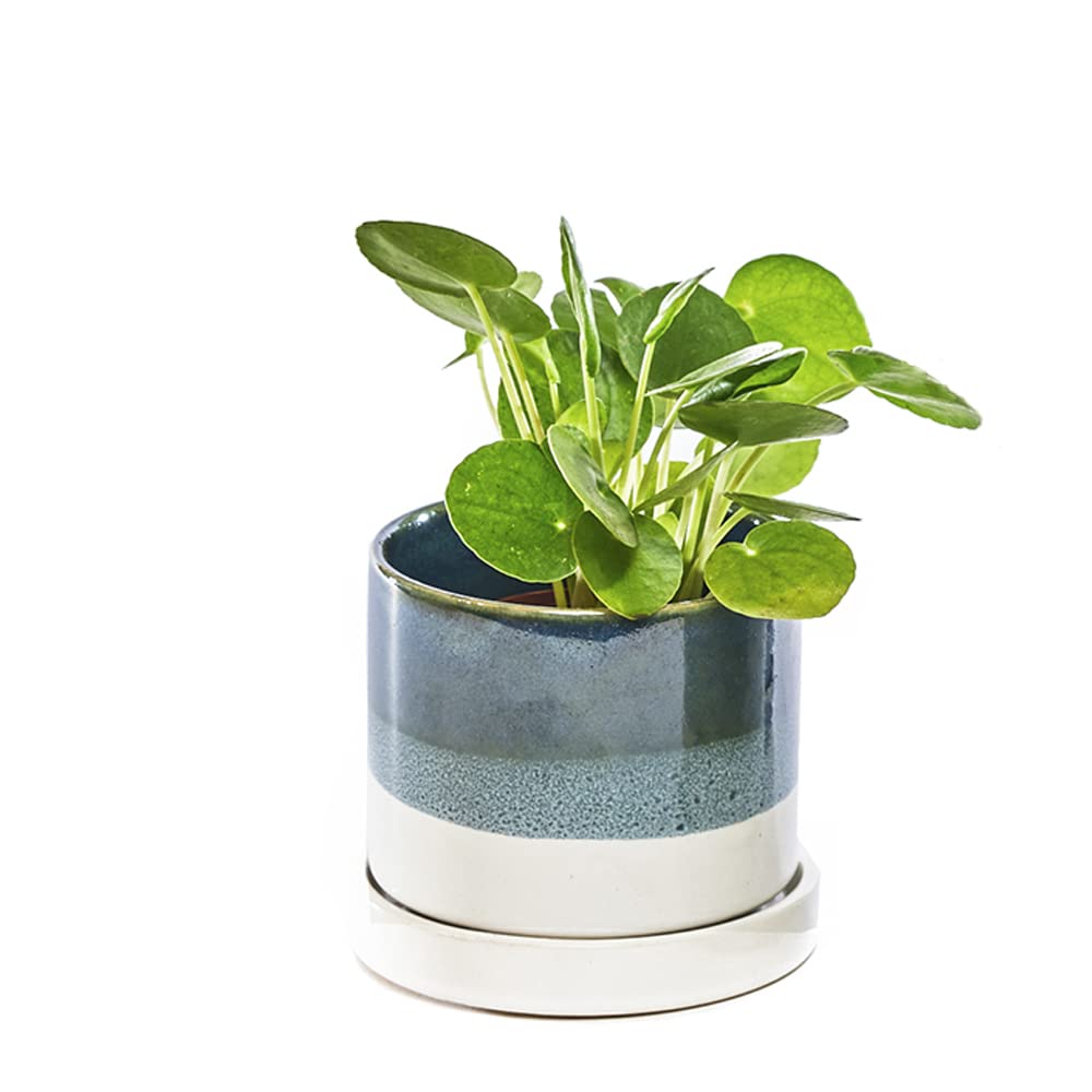 Chive Minute Ceramic Succulent Pots with Drainage - Set of 3 Blue & Green