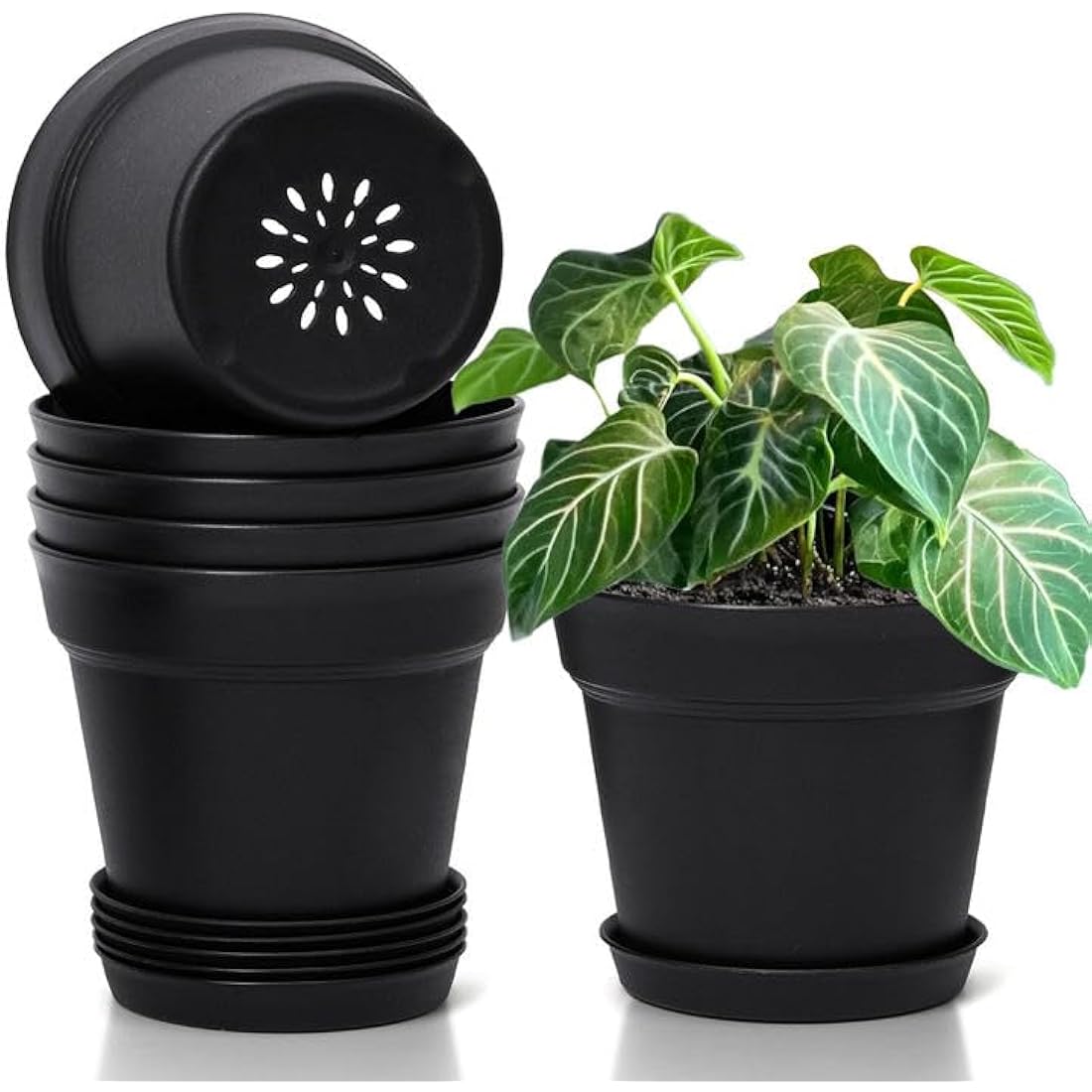 T4U Plastic Plant Pots with Saucers - 6-Pack Modern Indoor Planters, 16CM