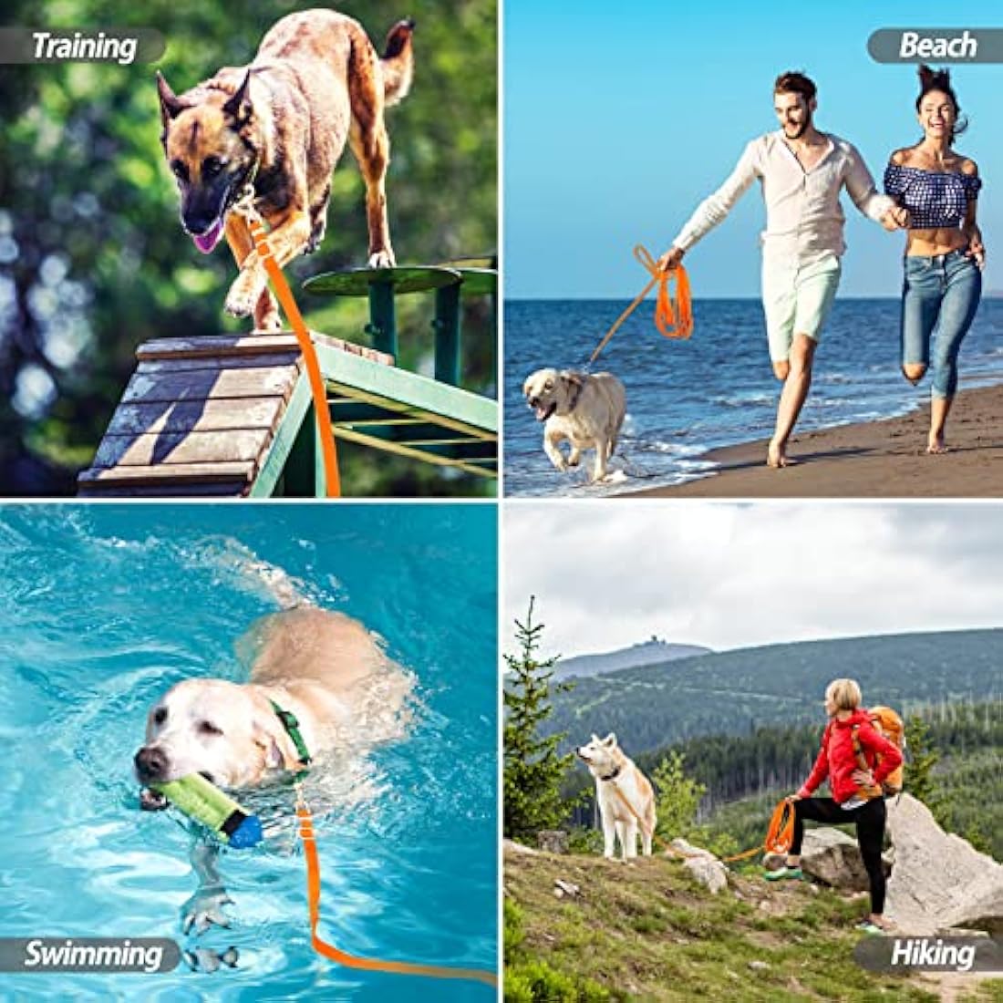 15m Dog Training Lead | 50ft Adjustable Nylon Long Line