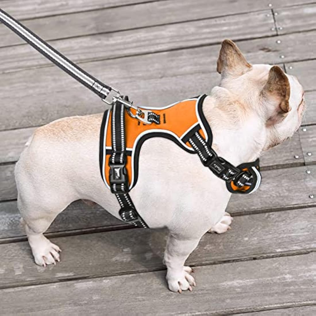 HEELE No Pull Dog Harness | Reflective Padded Training Vest - Orange, Medium