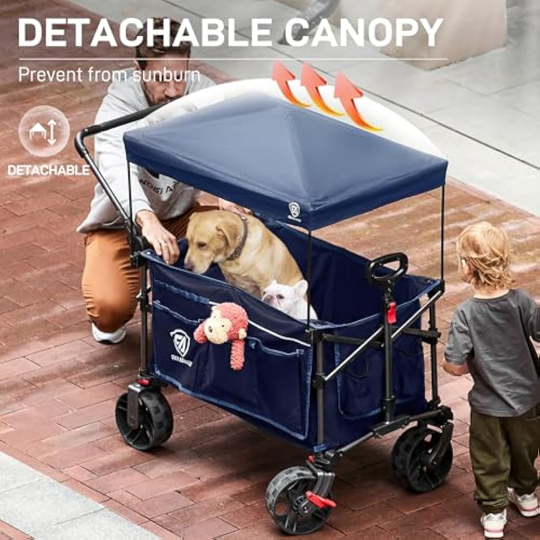 Ever Advanced Heavy Duty Folding Wagon – 150kg All-Terrain Beach Cart