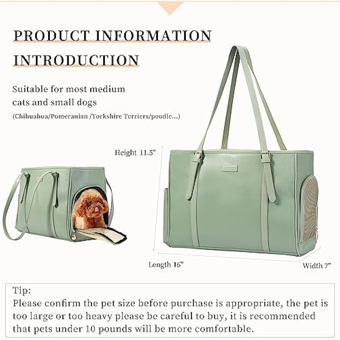 Vegan Leather Pet Carrier – Airline Approved Dog Purse (Green)