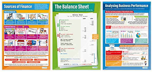 Accounting & Finance Classroom Posters | Set of 7 Laminated A1 Wall Charts