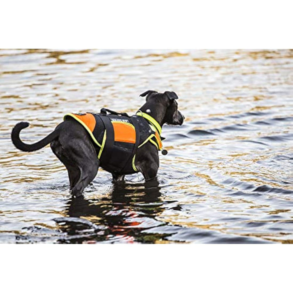 Julius-K9 IDC 3-in-1 Dog Vest | Swimming, Rehab & Winter Coat - Size L