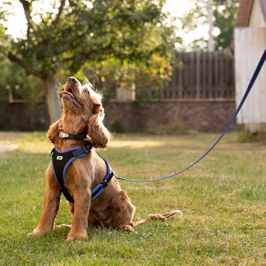 Ferplast Ergocomfort Medium Dog Harness | Padded Nylon - Red