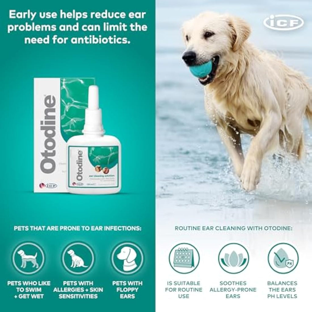 ICF Otodine Ear Cleaner for Dogs & Cats - 100ml Pet Hygiene Solution