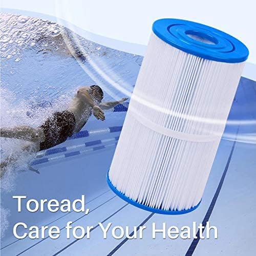 TOREAD Hot Springs Spa Filters - Watkins 31489 Replacement - 2 Pack