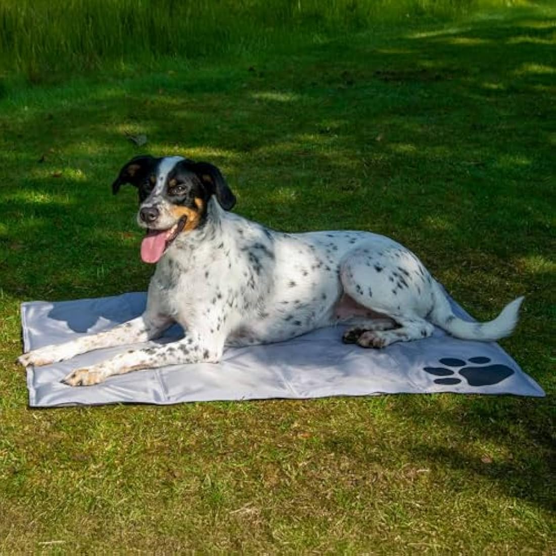 dobar Self-Cooling Dog Mat – Large Gel Cooling Blanket for Pets, Grey