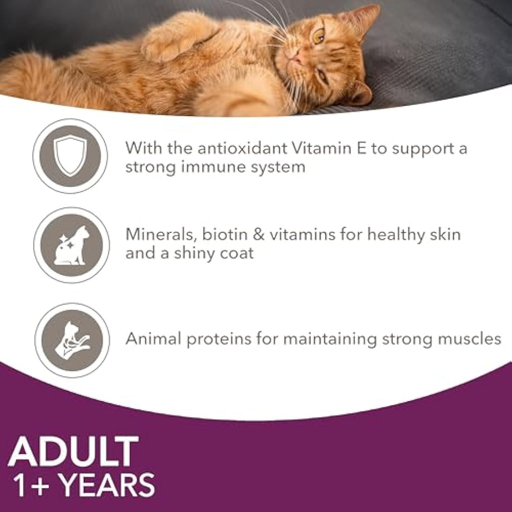 IAMS Adult Wet Cat Food Land & Sea in Jelly - High Protein 72 x 85g