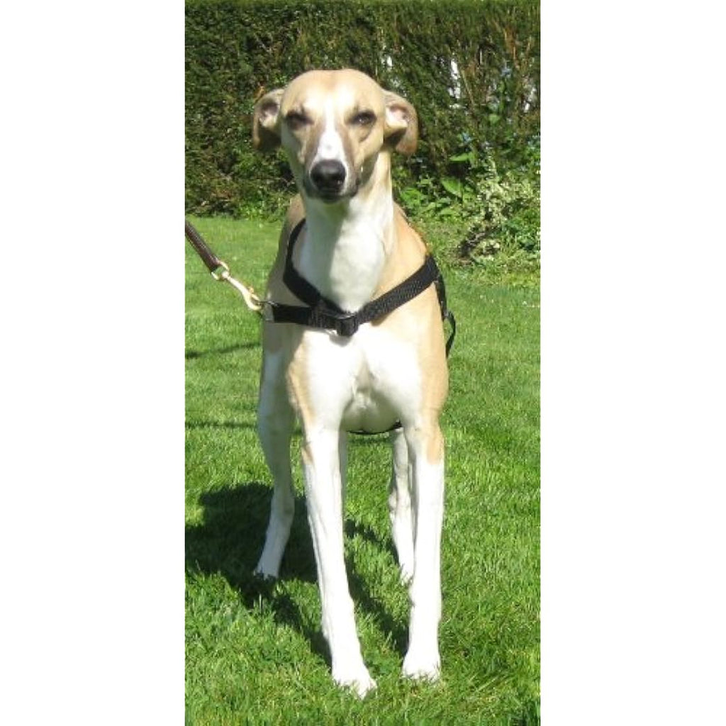 Walk Your Dog With Love No-Pull Dog Harness | Reflective Black (11-29kg)