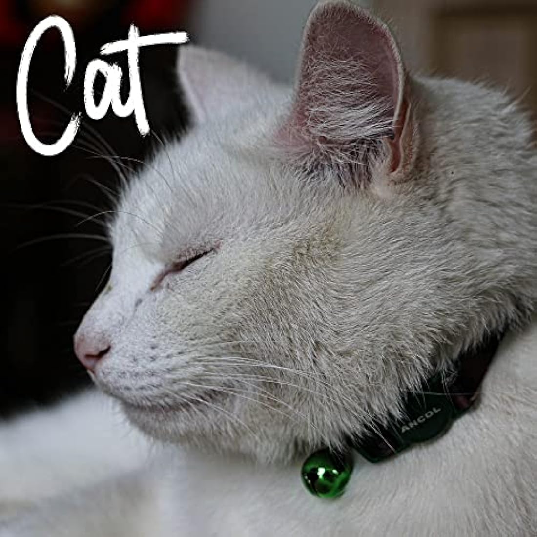 Ancol Camo Safety Cat Collar – Green Breakaway Buckle Kitten Neckband