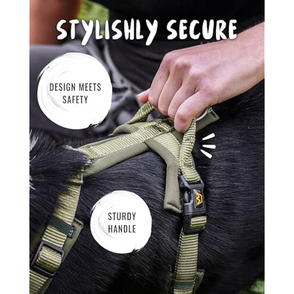 Rudelkönig Bella Dog Harness – No Pull Padded Escape Proof Chest Harness