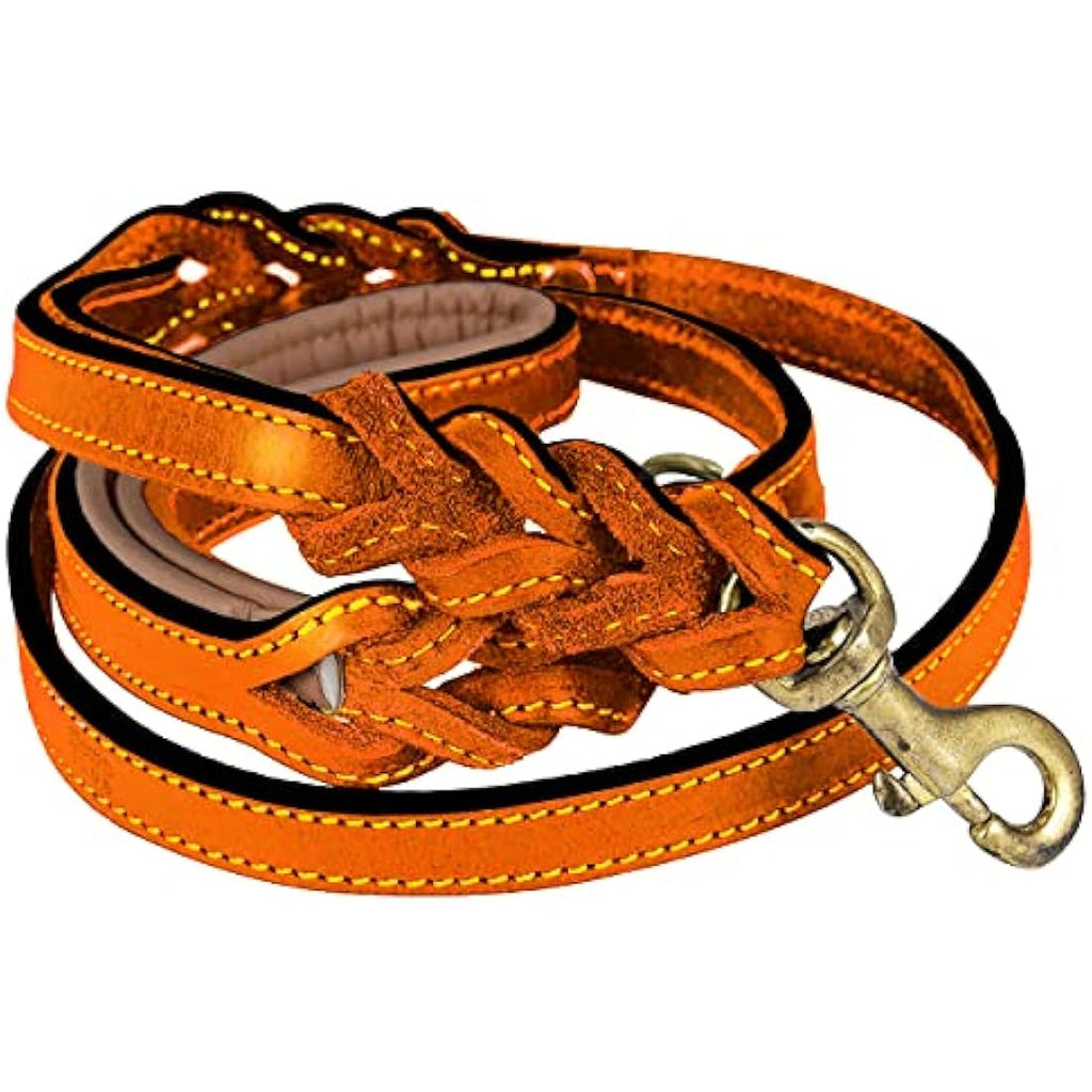 DowgClub 6' Leather Dog Leash | Dual Handle Braided Heavy Duty Lead - Tan