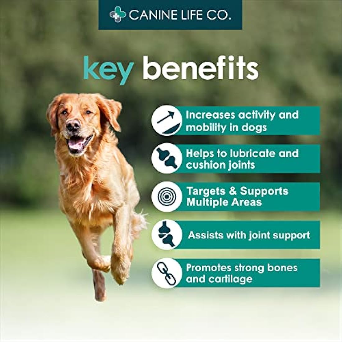 Canine Life Co. Dog Joint Supplement - Glucosamine & Turmeric - 300 Tablets