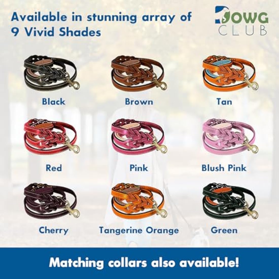 DowgClub 6' Leather Dog Leash | Dual Handle Braided Heavy Duty Lead - Tan