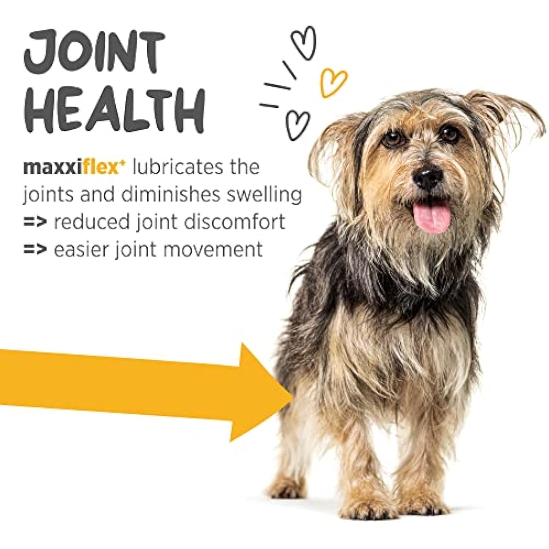 maxxipaws maxxiflex+ Dog Hip & Joint Supplement - Glucosamine - 120 Tablets