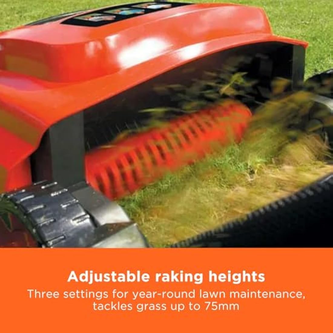 BLACK+DECKER 600W Electric Lawn Raker & Scarifier - 30cm Width