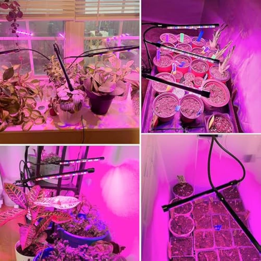 Garpsen Full Spectrum LED Grow Lights for Indoor Plants | 2-Pack Clip Lamp