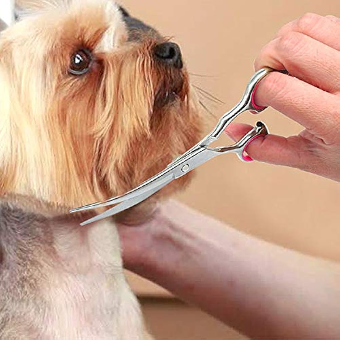 DONGKER 6" Pet Grooming Scissors – Curved Stainless Steel Dog Shears