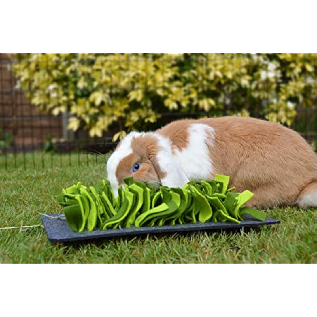 Rosewood Snuffle Forage Mat for Rabbits & Guinea Pigs | 29.5x20cm