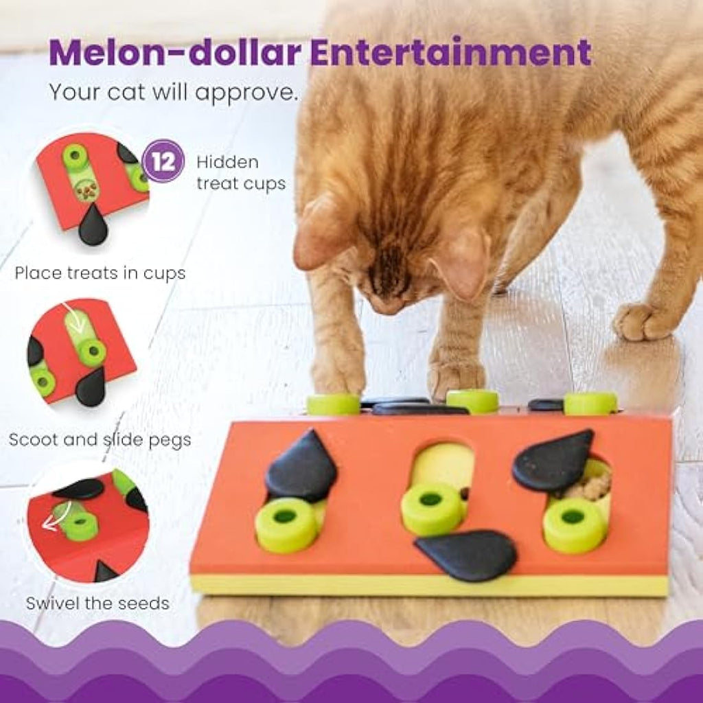 Nina Ottosson Melon Madness Interactive Cat Treat Puzzle & Slow Feeder