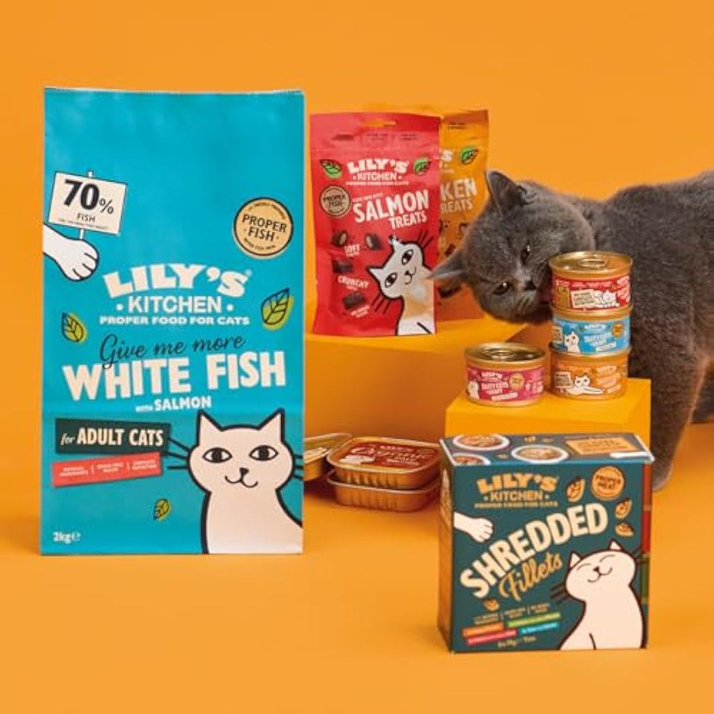 Lily's Kitchen Grain-Free White Fish & Salmon Dry Cat Food - 4 x 800g