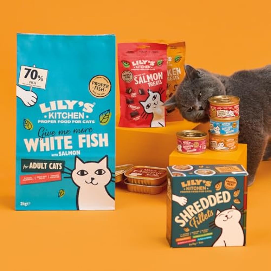 Lily's Kitchen Grain Free Wet Cat Food - Tuna & Salmon (24 x 70g)