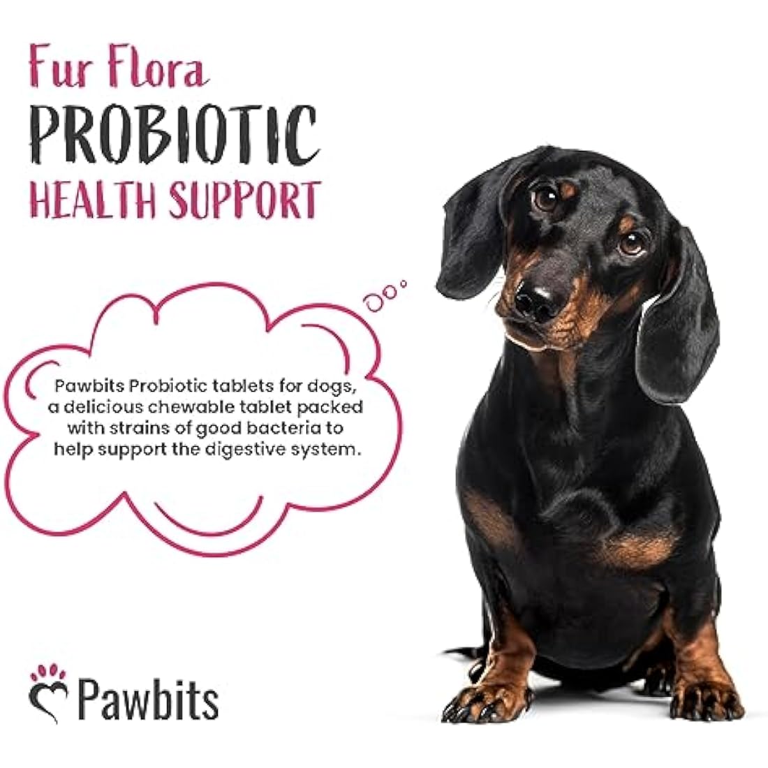 Pawbits Dog Probiotics & Prebiotics – 365 Chicken Chewable Tablets