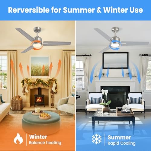 Newday 42" Silver Ceiling Fan with Dimmable LED Light and Remote Control
