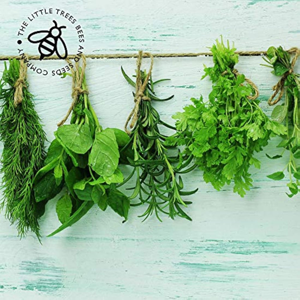 Jolof Store 15 Herb Seed Varieties Kit – Non-GMO Indoor & Outdoor Garden