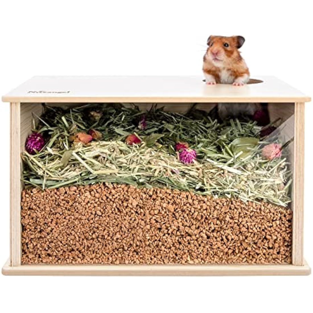 Niteangel Wooden Hamster Digging Box – Transparent Burrowing Hideout